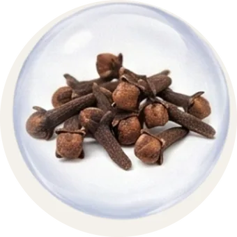 Đinh hương trong gối chườm muối biển thảo dược