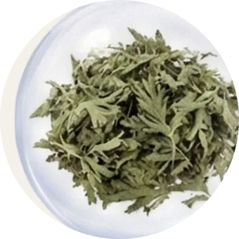 Ngải cứu trong gối chườm muối biển thảo dược